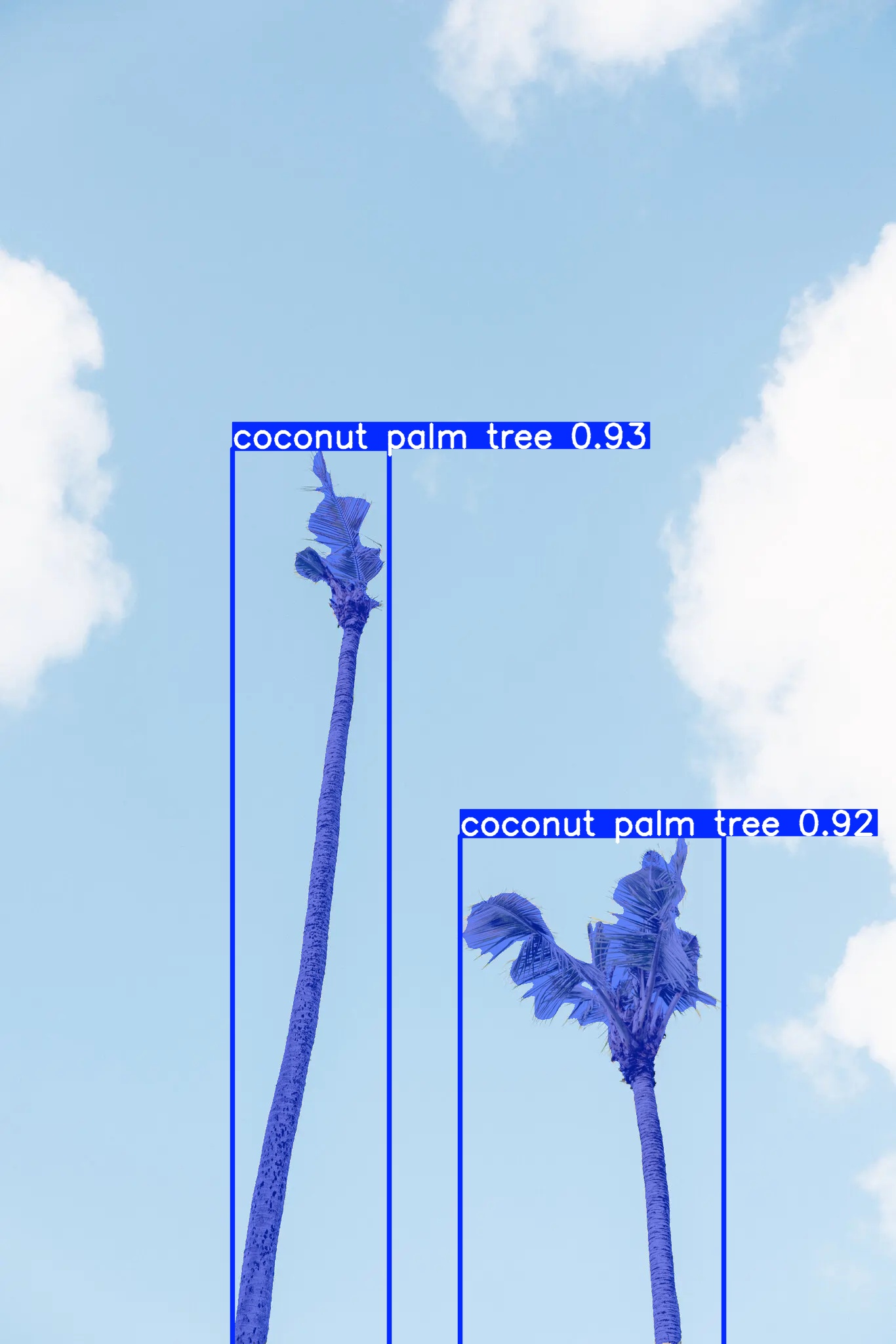 SAM3 detection results from the simple image. This is the default annotated image returned by SAM3.
Numbers are confidence levels.