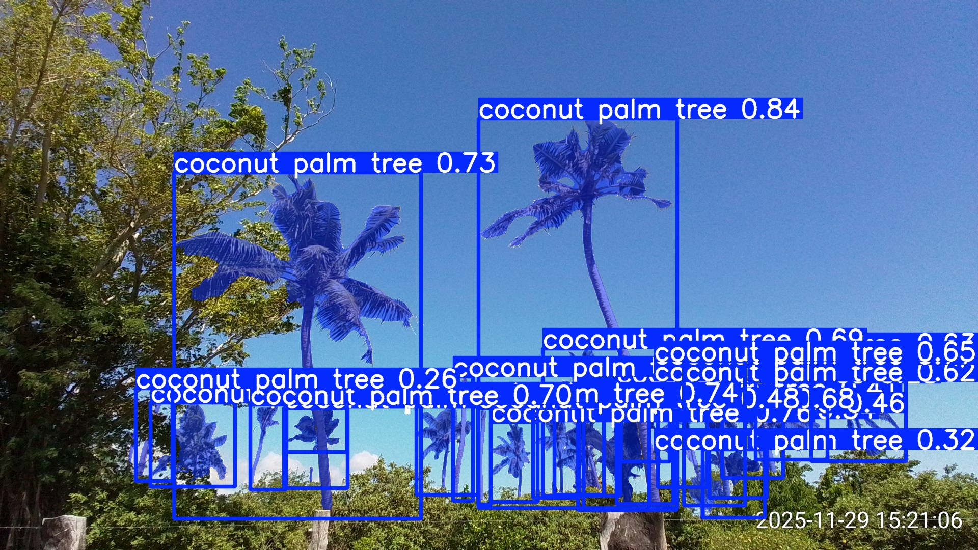 SAM3 detection results from the complex image. This is the default annotation returned by SAM3.
Numbers are confidence levels.