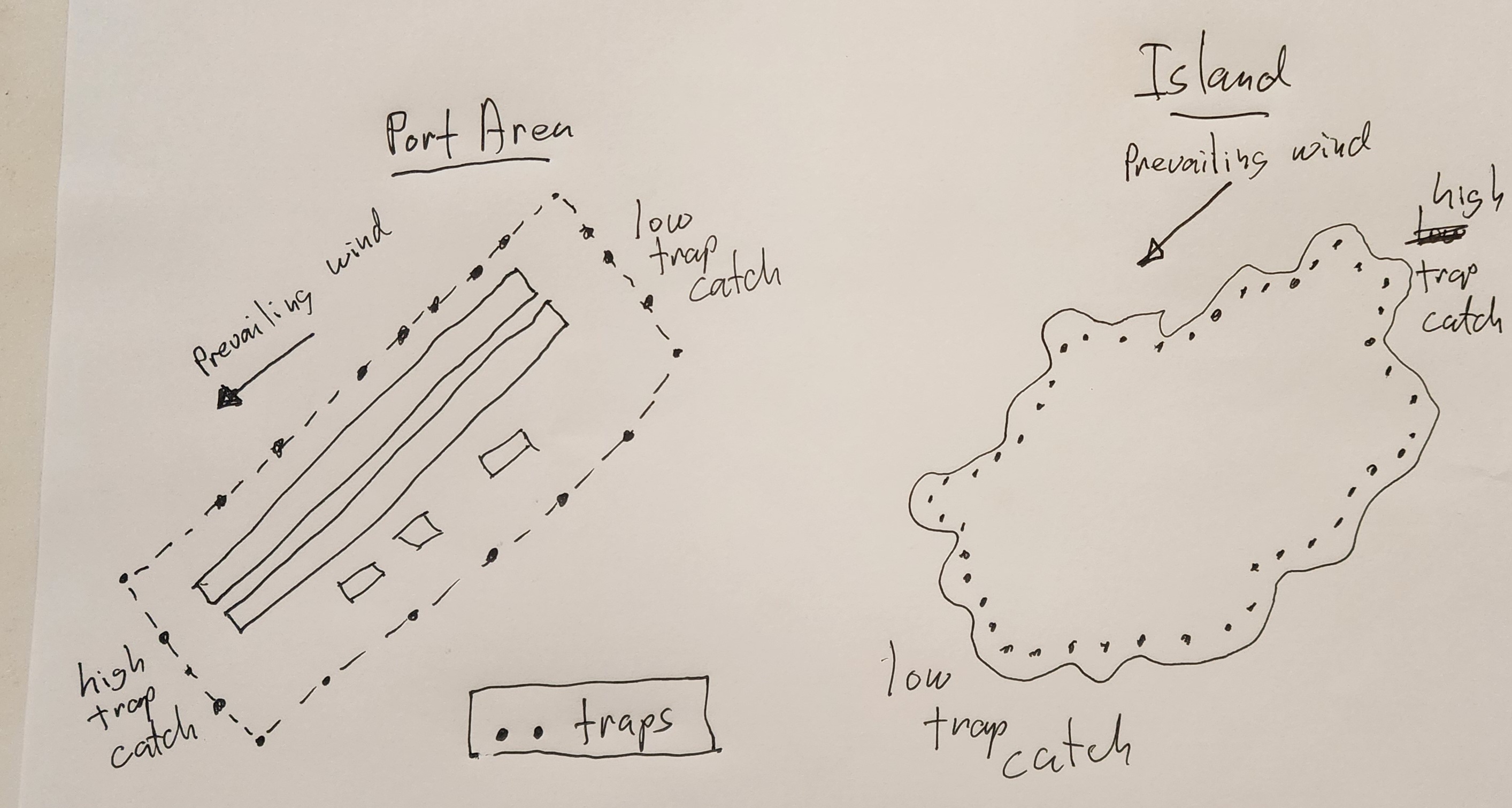 Expected relationship between wind and CRB pheromone trap catch.